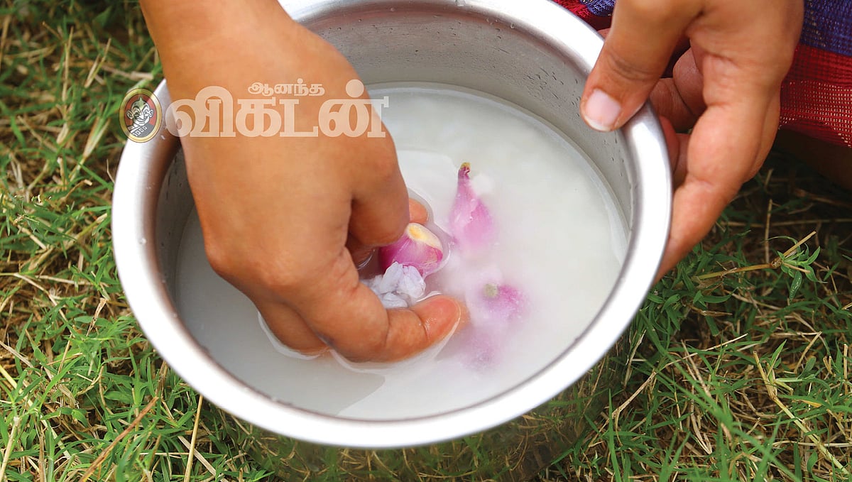 Health: வெயில் காலத்தில் ஏன் பழைய சோறு சாப்பிட வேண்டும்?