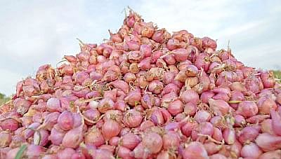 Health: பேரு தான் சின்ன வெங்காயம்... பலன்கள் அப்பப்பா..!