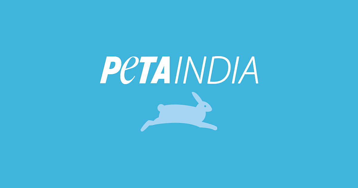 PETA India - பீட்டா இந்தியா