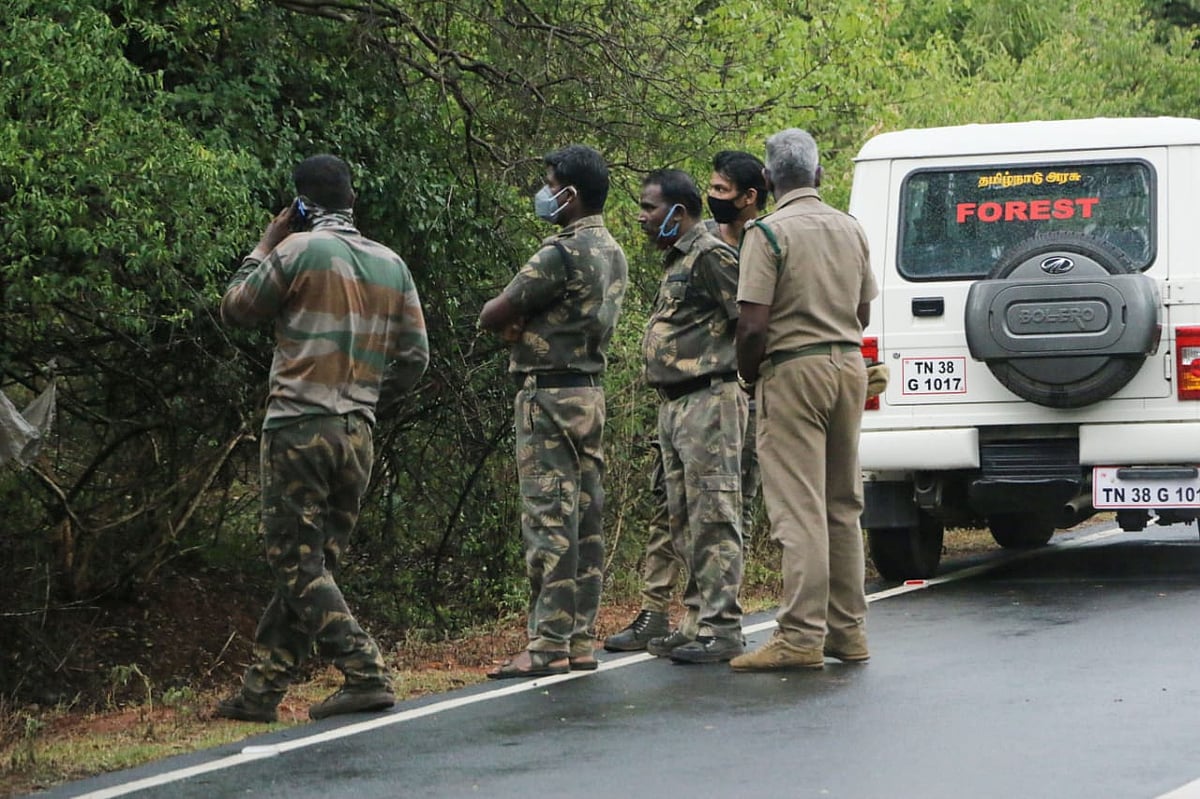 ஈரோடு: வனத்துக்குள் வழிதவறிய சிறுவர்கள்; களமிறங்கிய வனத்துறை; 5 மணி நேரத்தில் மீட்கப்பட்டது எப்படி?