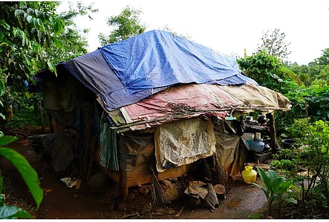 பாப்பச்சனுக்கு ஓர் ’அன்பு இல்லம்’ | A 'Love House' for Papachan - R.Badri - கலாச்சார தொழிற்சாலை - Culture factory - Bookday - https://bookday.in/