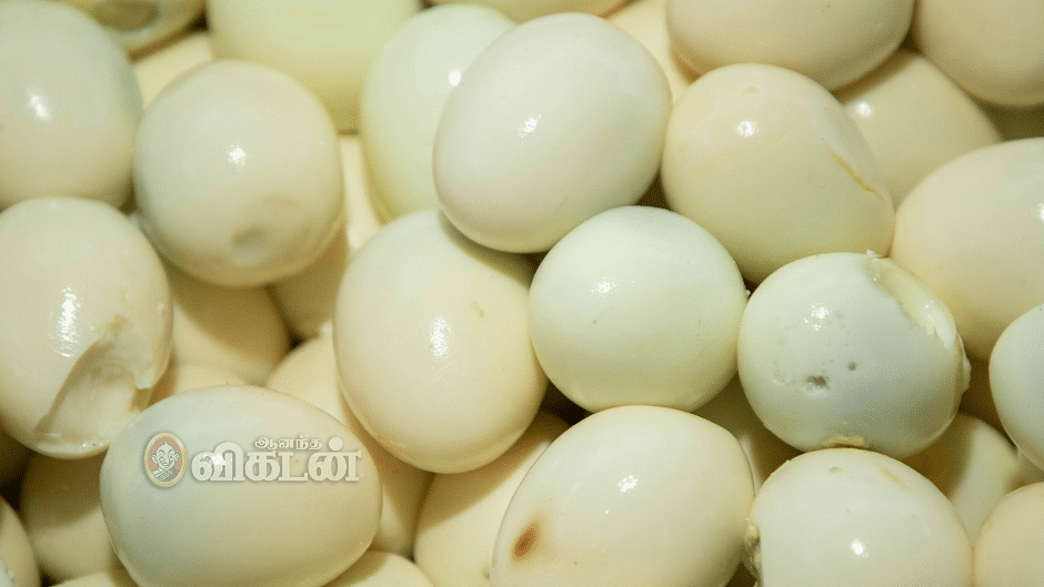 Can Cardiac Patients Eat Eggs Can Cardiac Patients Eat Eggs