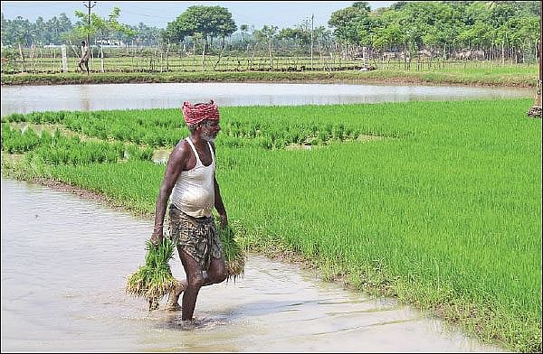 MSP அறிவிப்பு இல்லை, குறைந்த நிதி ஒதுக்கீடு... விவசாயிகள் கொண்டாட வேண்டிய பட்ஜெட்டா இது?