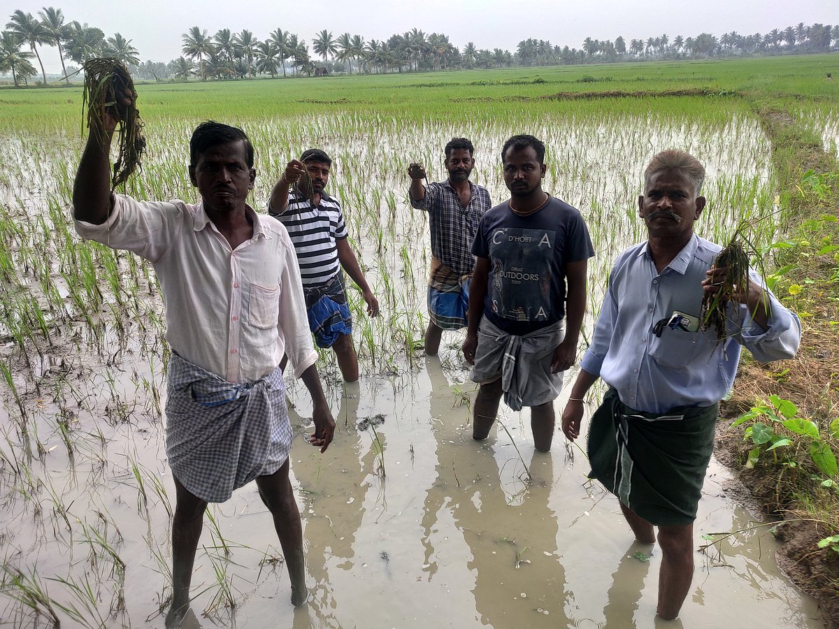 மழை பாதிப்பு