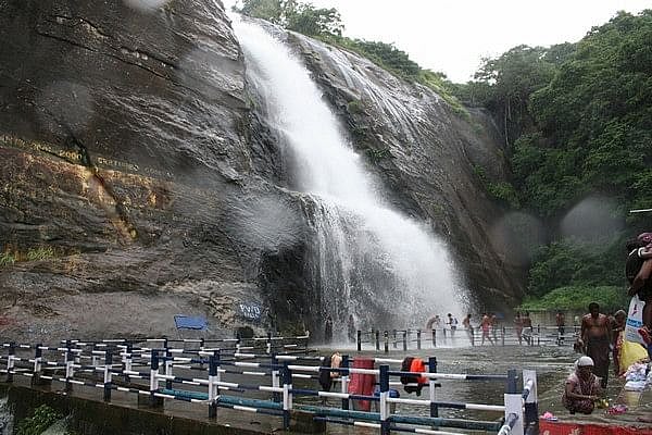 தென்காசி: ஐந்தருவி பகுதியில் இறங்கிய காட்டுயானை - சுற்றுலா பயணிகளுக்கு அனுமதி மறுப்பு