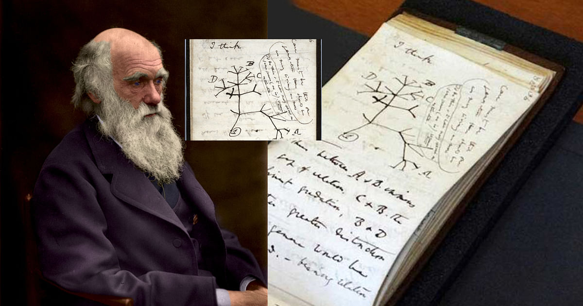 Bagaimana catatan Darwin yang hilang ditemukan 22 tahun kemudian?  |  Buku catatan Charles Darwin berisi ide-ide perintisnya yang hilang selama 21 tahun telah kembali ke Universitas Cambridge