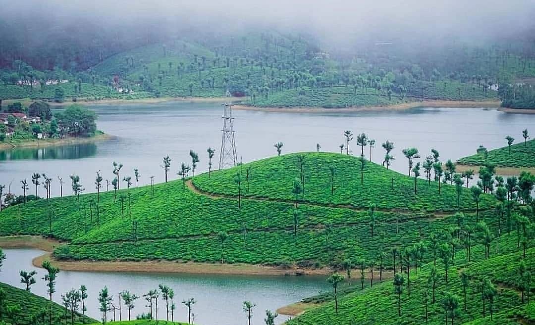 வால்பாறை 4 வயது குழந்தையை தூக்கி சென்ற சிறுத்தை; தேடுதல் பணியில் அதிர்ச்சி... கண்ணீரில் குடும்பம்