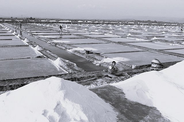 Salt: `கல் உப்பு, தூள் உப்பு, இந்துப்பு' - உப்பின் பலன்கள்! | Health ...