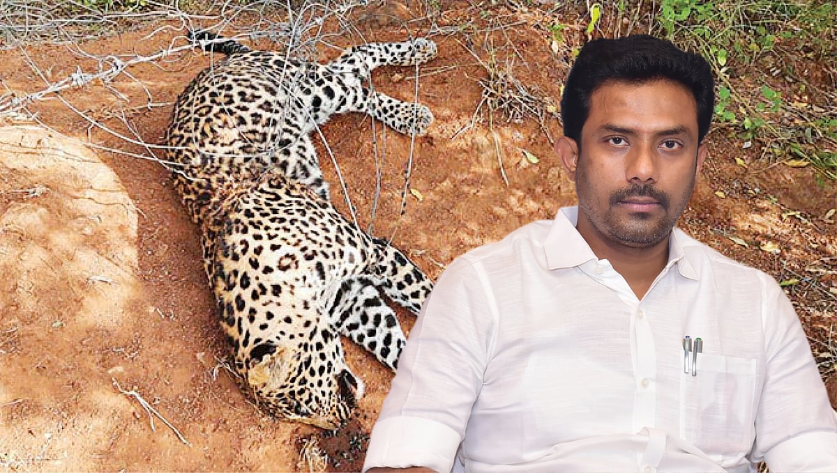 Junior Vikatan - 12 October 2022 - சிறுத்தை சிக்கும்... சின்னவரு ...