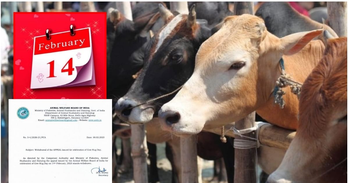 Cow Hug Day: Criticisms Raised; The Animal Welfare Board withdrew the  notice!  - Time News