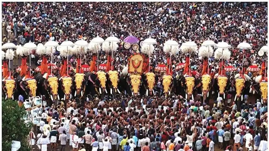 ``டைனோசர்களின் நிலை யானைகளுக்கும் வரக்கூடாது -  கேரள உயர் நீதிமன்றம் கூற காரணம் என்ன?