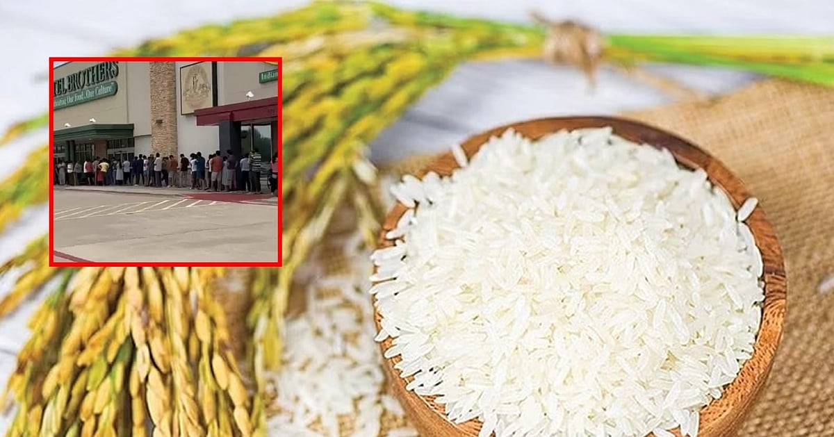 பாஸ்மதி அல்லாத வெள்ளை அரிசி ஏற்றுமதிக்கு மத்திய அரசு தடை! - அமெரிக்க ...