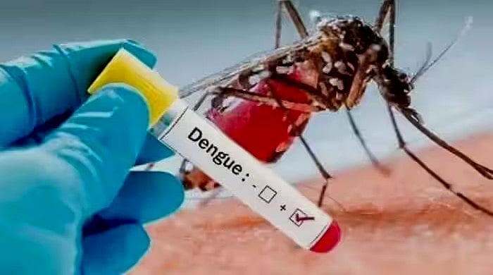 டெங்கு: ஒரே நாளில் 253 பேருக்கு பாதிப்பு!; தமிழ்நாட்டில் அதிகரிக்கும் டெங்கு!