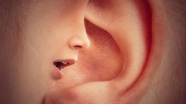Ears