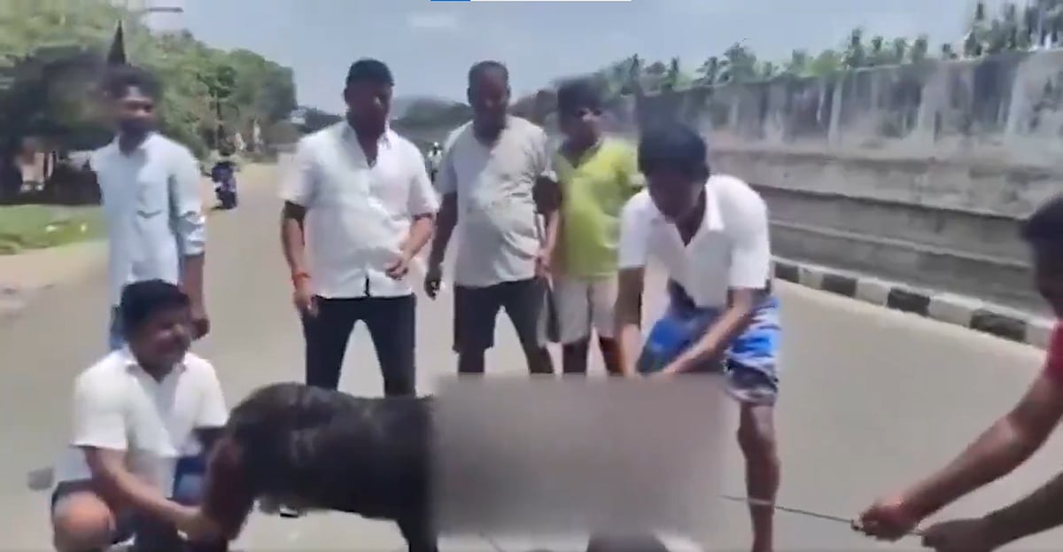 `வேடிக்கை பார்க்க முடியாது அண்ணாமலை படத்தோடு ஆடு வெட்டிய வழக்கில் தமிழக அரசுக்கு குட்டு..!