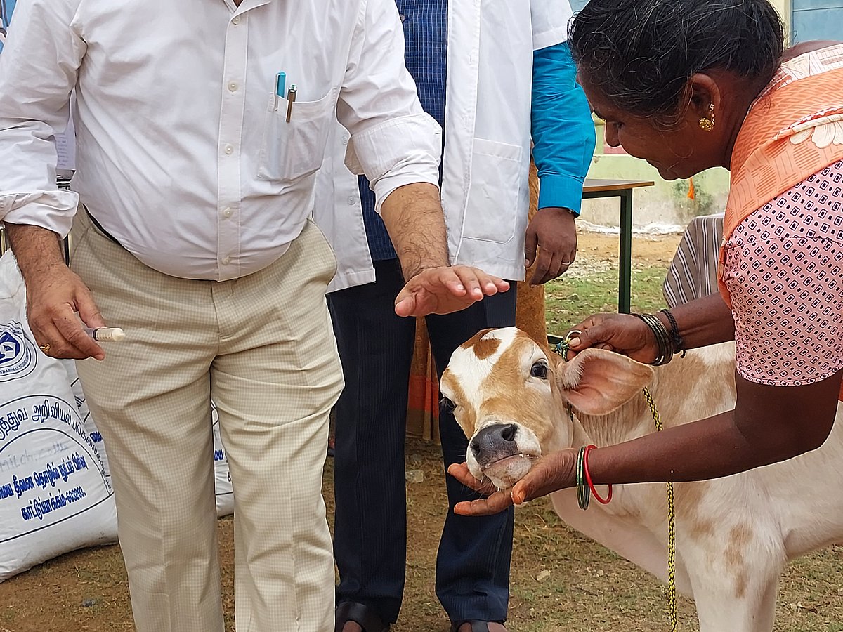 ``இதையெல்லாம் செய்தால் பால் உற்பத்தியை அதிகரிக்கலாம்  - வழிகாட்டிய நிகழ்ச்சி!