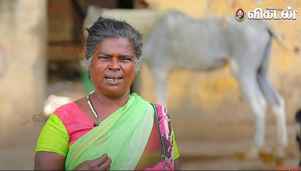 இந்தக் குதிரைங்கதான் எங்க பிள்ளைங்க - அன்பைப் பொழியும் குதிரை வளர்ப்பாளர் மாலா