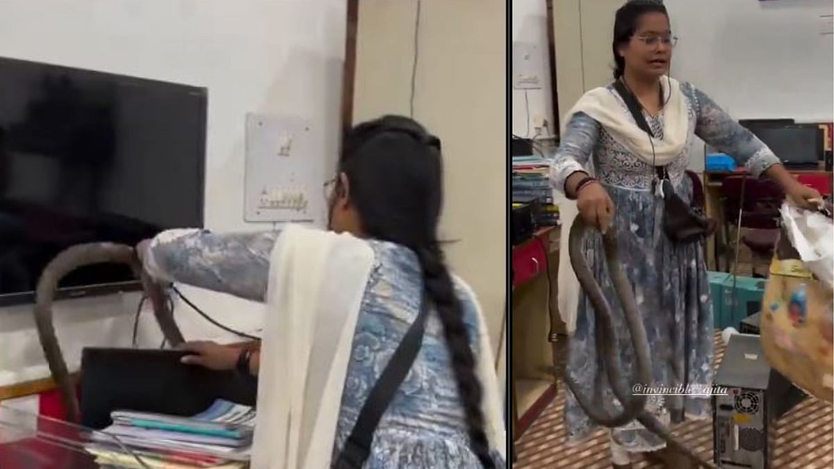 பாம்புகளை இப்படி அநாயசமாக பிடிக்க முடியுமா? வைரல் வீடியோ... வல்லுநர் விளக்கம்!