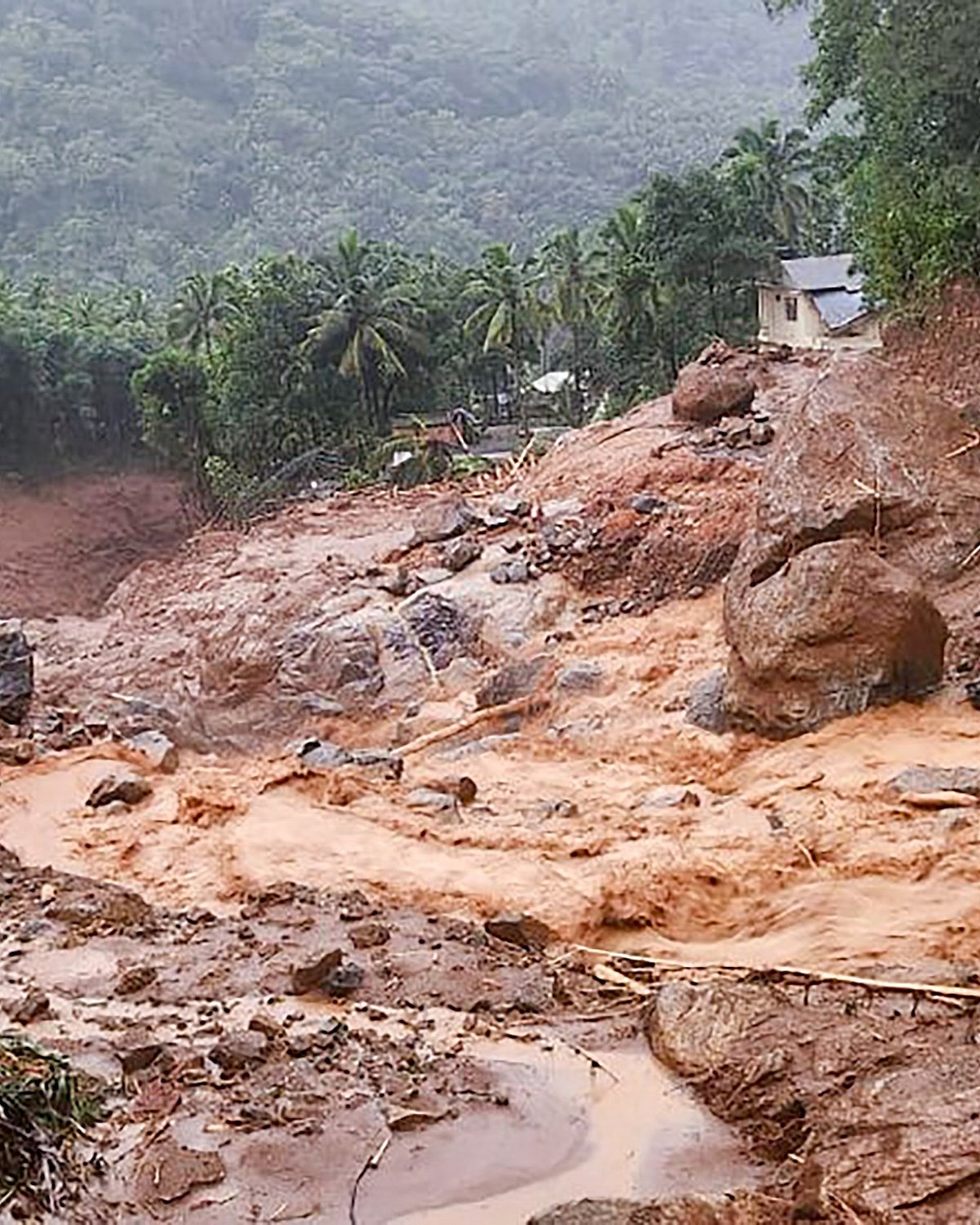 Wayanad Landslide: உருமாறிய மலைப்பகுதிகள்... போராடும் மீட்புக்குழுவினர் - வயநாடு காட்சிகள்!