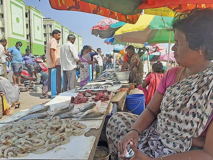 வஞ்சிக்கப்படும் மீனவர்கள்: நொச்சிக்குப்பம் லூப் சாலை விவகாரத்தில் என்ன நடந்தது? - Ground Report