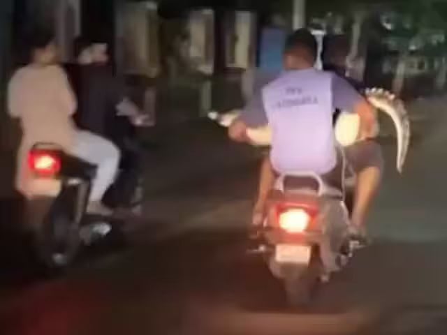 Viral: முதலையை வாயைக் கட்டி டூவீலரில் எடுத்துச் சென்ற இளைஞர்கள் - இணையத்தில் வைரலாகும் வீடியோ!