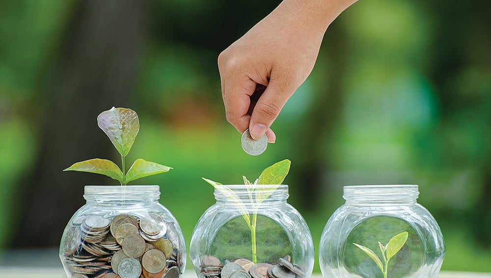 Basics of Share Market 38: `இதுவா... அதுவா - மியூச்சுவல் ஃபண்டில் எந்த ஆப்ஷன் நல்லது?