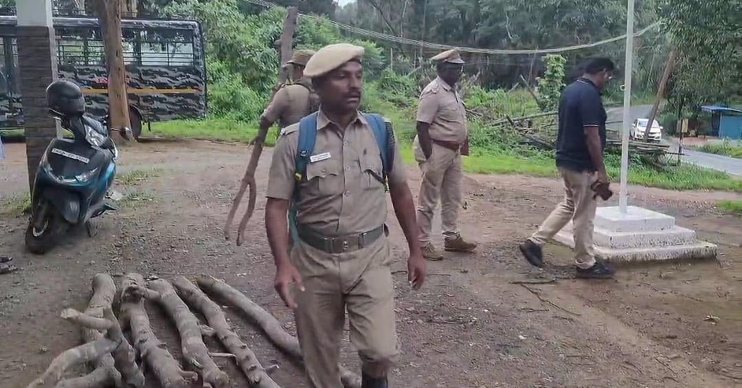 கூடலூர்: தனியார் எஸ்டேட் குடோனில் சந்தன மரங்கள் பதுக்கல்... கொத்தாக தூக்கிய வனத்துறை..!