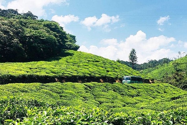 மாஞ்சோலை வழக்கு; ஒத்திவைக்கப்பட்ட விசாரணை; வாழ்வாதாரம் உறுதி செய்யப்படாமல் தவிக்கும் தொழிலாளர்கள்!