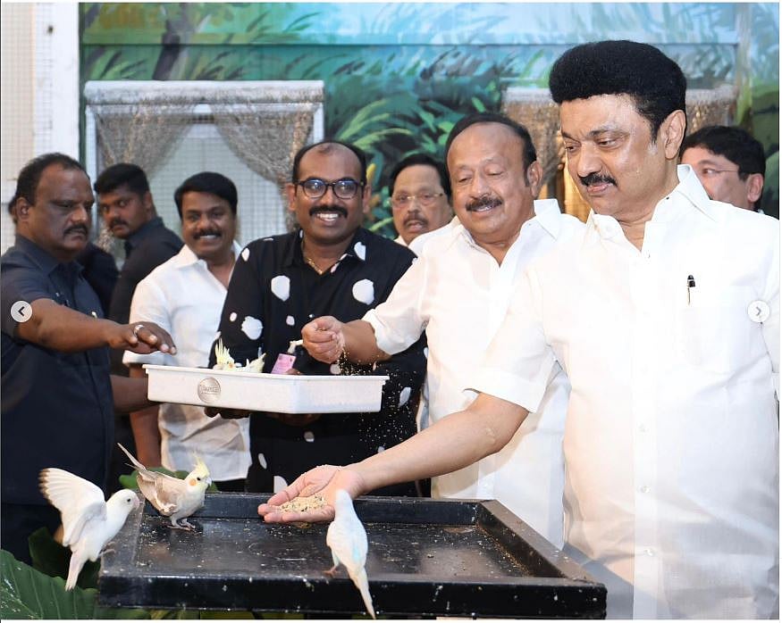 `கண்ணாடி மாளிகை, அயல்நாட்டுப் பறவையகம் டு பனிப்புகை நடைப்பாதை’ - கலைஞர் நூற்றாண்டு பூங்கா |Album