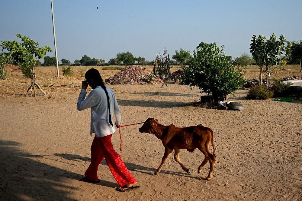 Bishnoi-:-சல்`மான்-சர்ச்சையால்-பேசுபொருளான-`வன-பாதுகாவலர்கள்!---யார்-இந்த-பிஷ்னோய்-இன-மக்கள்