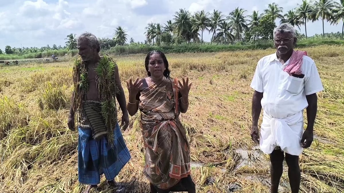 ``தீபாவளி பண்டிகை நேரத்தில் பாதிப்பை சந்தித்துள்ளோம்.. - விவசாயிகள் வேதனை!
