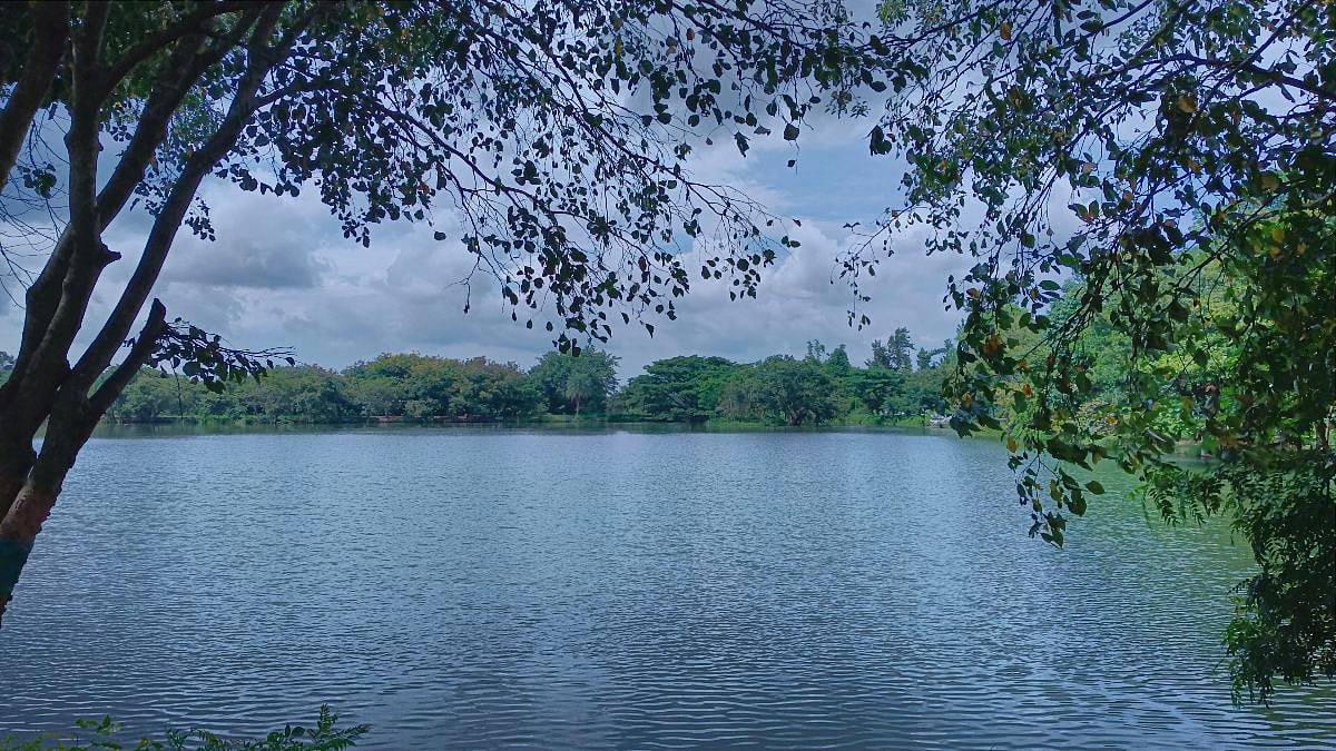 சென்னைக்கு அருகில் செம Hills Station; மனதைக் கொள்ளையடிக்கும் ஜவ்வாது மலை! - Weekend Visit