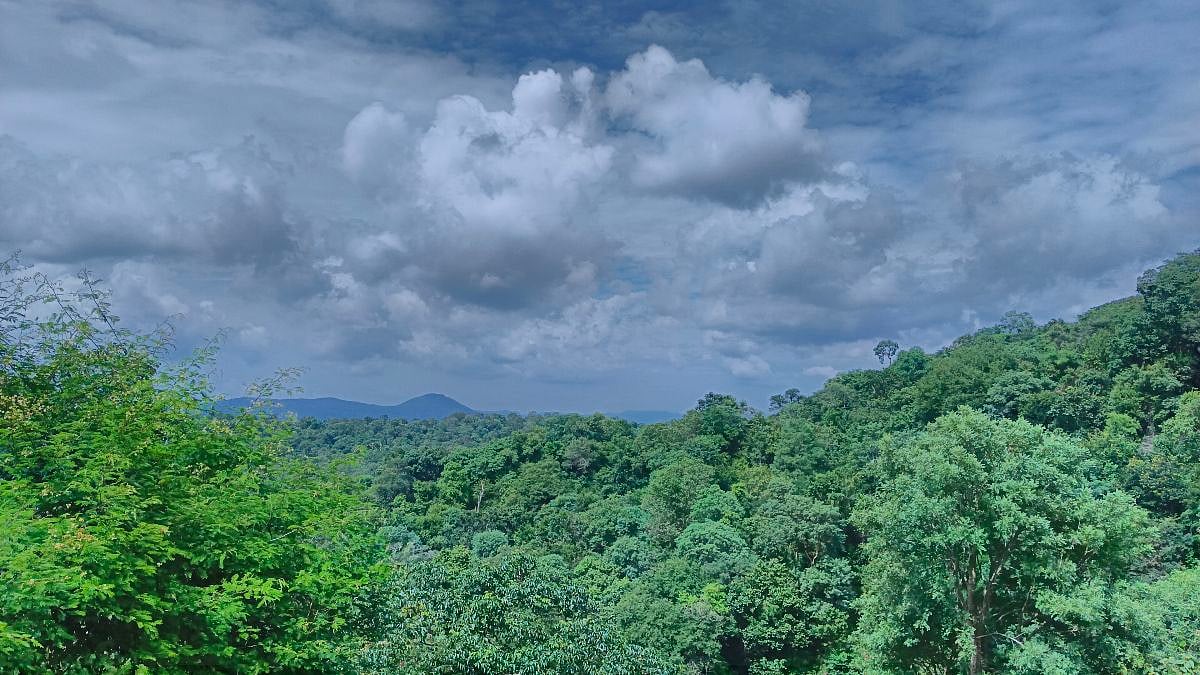 ஜவ்வாது மலையில் அதானி நிறுவனம்: `337.452 எக்டேர் நிலப்பகுதிக்கு ஆபத்து- பூவுலகின் நண்பர்கள் குழு!