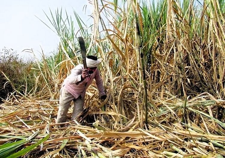 மகாராஷ்டிரா: 10 லட்சம் தொழிலாளர்கள் வாக்களிப்பதில் சிக்கல்... என்ன செய்யப்போகிறது தேர்தல் கமிஷன்?
