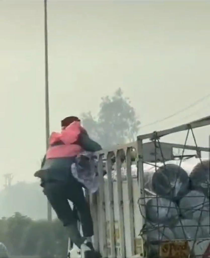 UP: பண மாலையைப் பறித்துச் சென்ற டெம்போ டிரைவர்... சேஸ் செய்து மீட்ட மணமகன்! | Viral Video