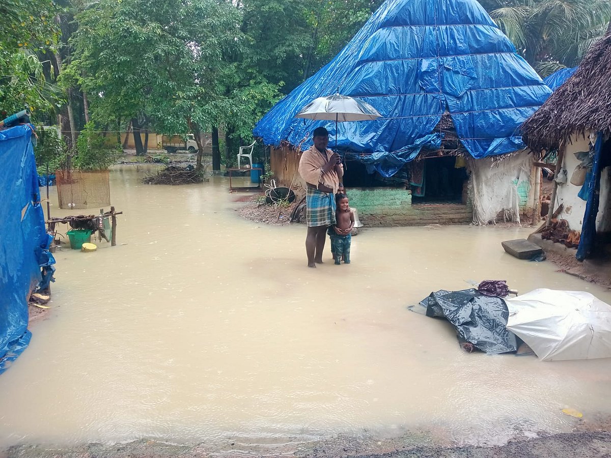 தஞ்சை: கடலா..? வயலா..? - தொடர் மழையால் மூழ்கிய நெற்பயிர்கள்; வேதனையில் விவசாயிகள்; காரணமென்ன?