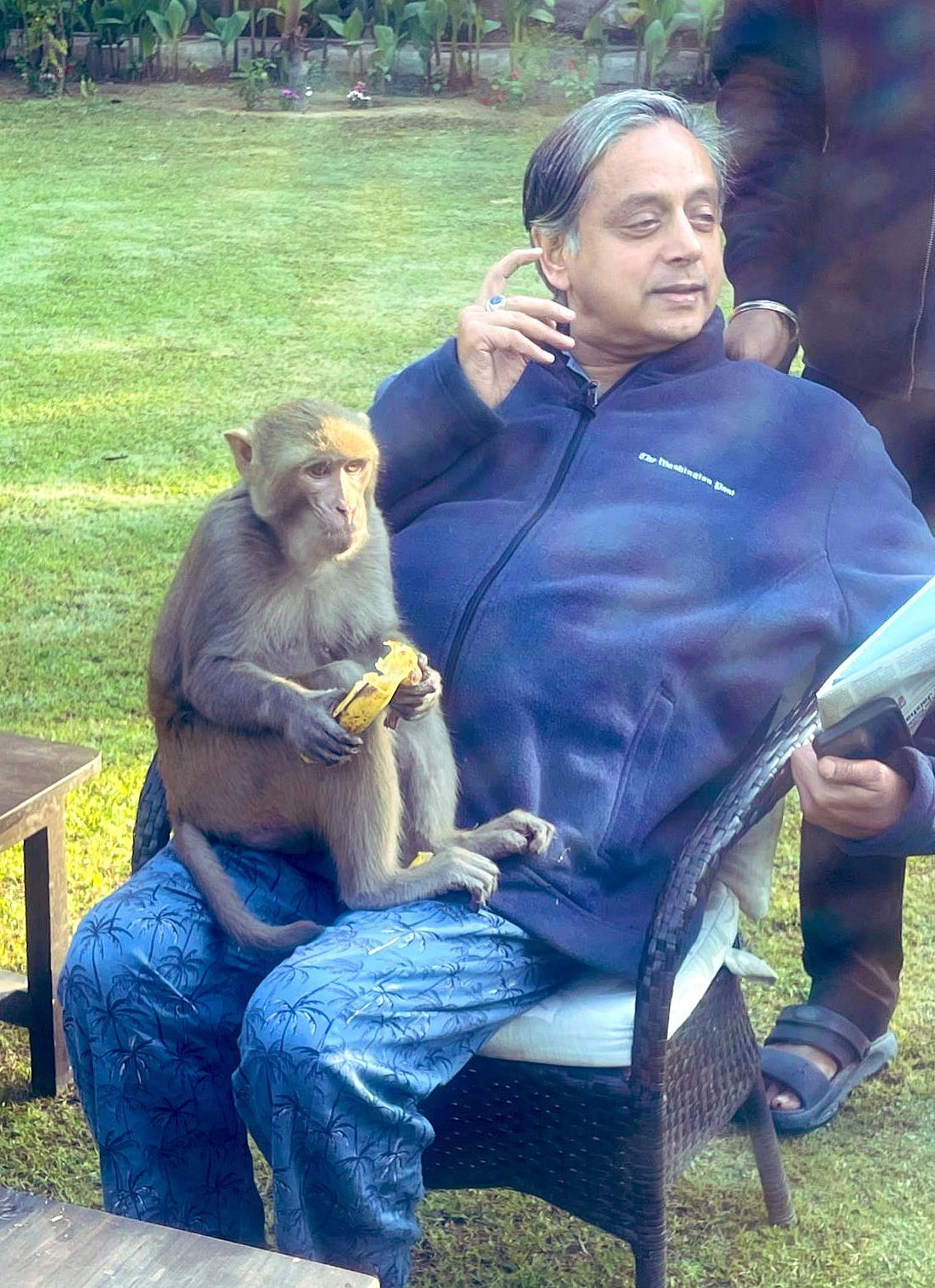 Shashi Tharoor: ``தோளில் சாய்ந்த குரங்கு உறங்கியே விட்டது! - சசி தரூர் நெகிழ்ச்சி பதிவு