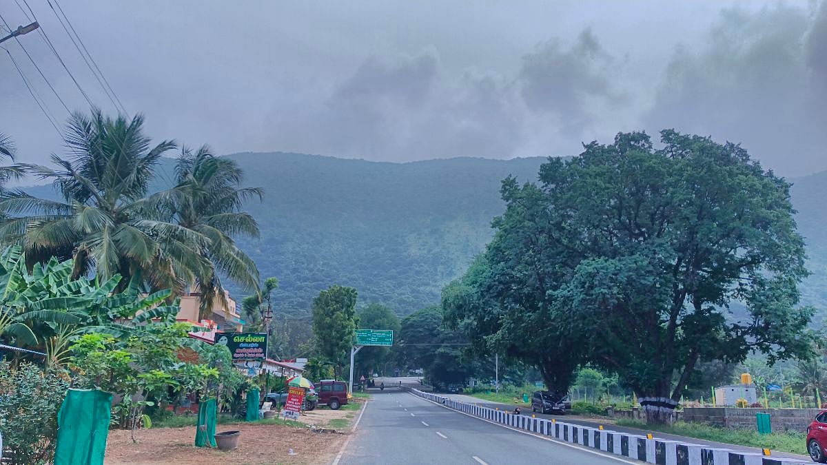 ஏலகிரி: `மூடுபனியில் மூழ்கிய மலைப்பாதை... மனதைக் கொள்ளையடிக்கும் காட்சிகள் | Weekend Spot Visit