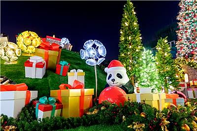 X-mas: பிரமாண்ட மரம்; அலங்கார விளக்குகள் - உலகெங்கும் கிறிஸ்துமஸை கொண்டாடத் தயாராகும் மக்கள் | Album