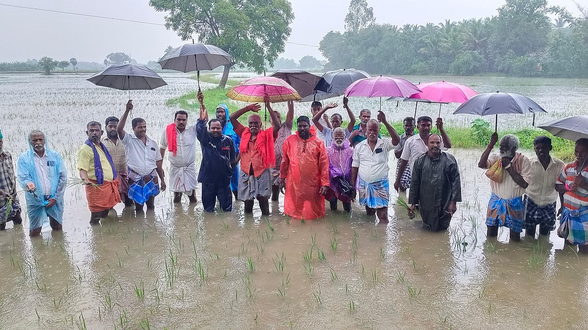 தொடர் மழை நீரில் மூழ்கிய நெற்பயிர்; வயலில் இறங்கி போராட்டம் நடத்திய தஞ்சை விவசாயிகள்!