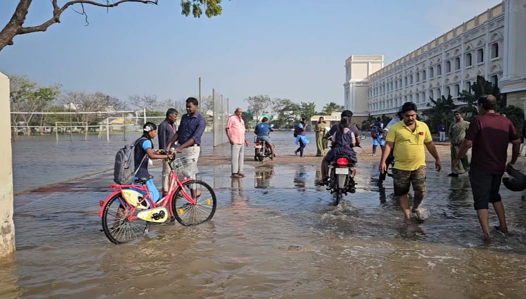 தூத்துக்குடி: கொட்டித் தீர்த்த கனமழை... தெருக்களில் மழைநீர் வடியாததால் அவதிப்படும் மக்கள்
