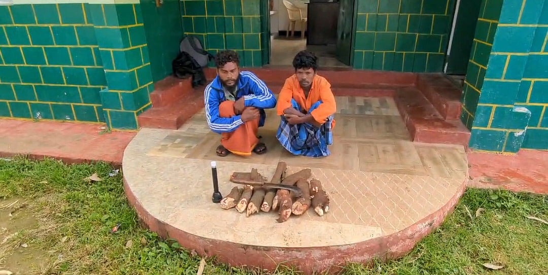 மரம் வெட்டும் சத்தம், துரத்திச் சென்ற வனத்துறை, சந்தன மரங்களை வீசிச் சென்ற கும்பல்; பின்னணி என்ன?