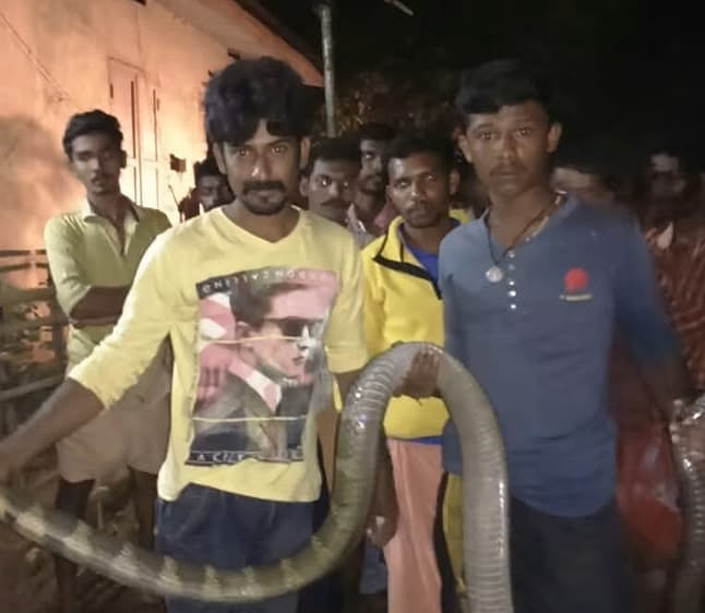 நல்லபாம்பு கடித்து மரணமடைந்த பாம்புபிடி வீரர்; ``குடும்பத்துக்கு அரசு உதவி.. -மக்கள் கோரிக்கை!