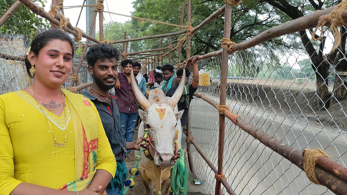 அவனியாபுரம் ஜல்லிக்கட்டு: வாடிவாசல்ன்னு வந்துட்டா இவன் கொஞ்சம் டெரர் தான் - வீர திருநங்கை அக்ஷயா