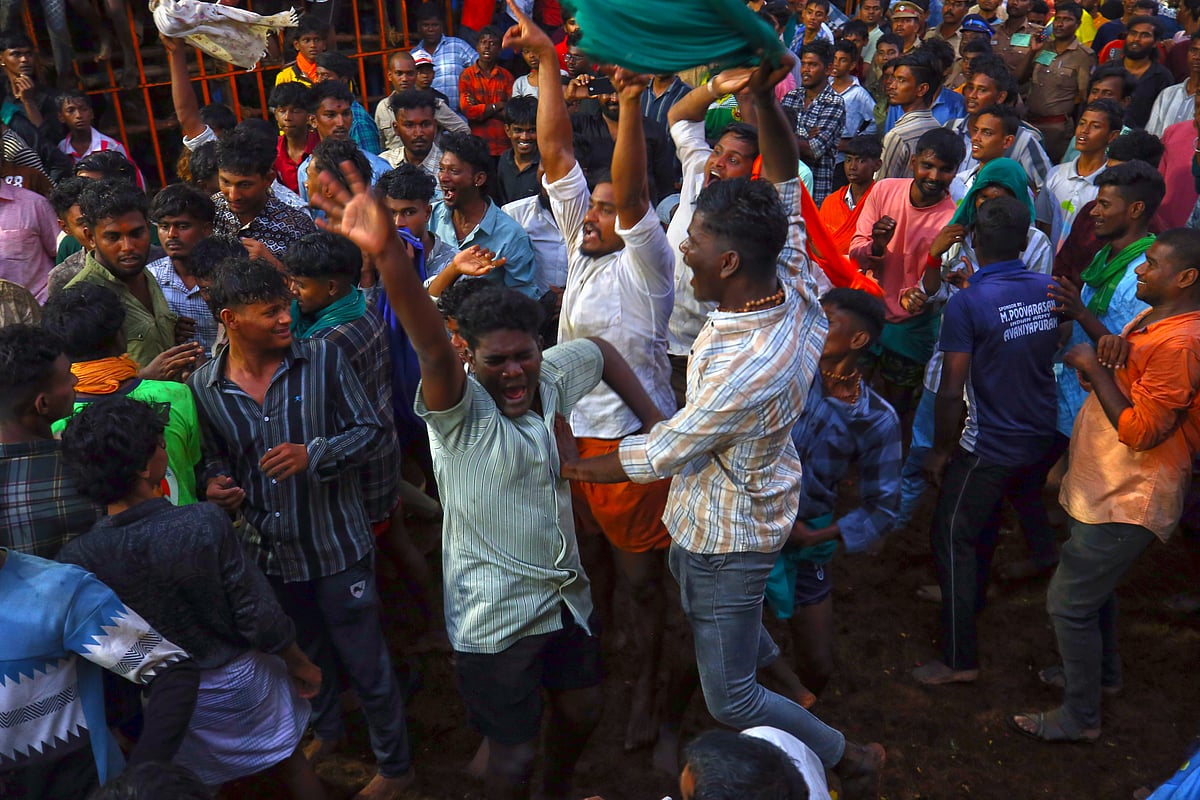 அவனியாபுரம் ஜல்லிக்கட்டு:  துள்ளிப் பாய்ந்த காளைகள், ஏறுதழுவி வென்ற வீரர்கள்.. | Photo Album