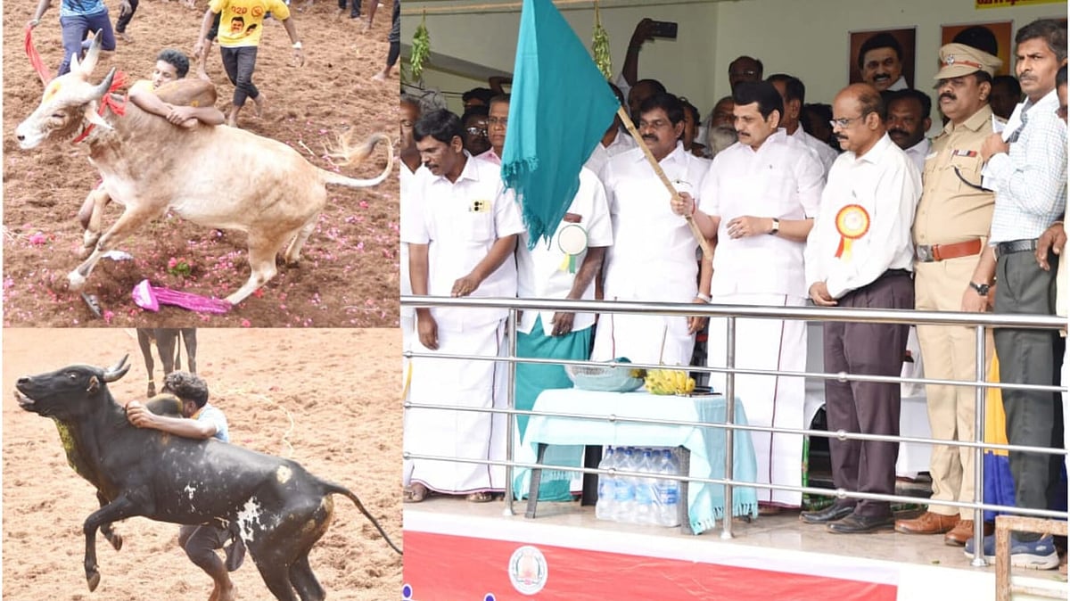 ’இந்த ஆண்டில் காளைக்கு... அடுத்த ஆண்டிலிருந்து வீரருக்கும் கார் பரிசு!’ - செந்தில் பாலாஜி அறிவிப்பு