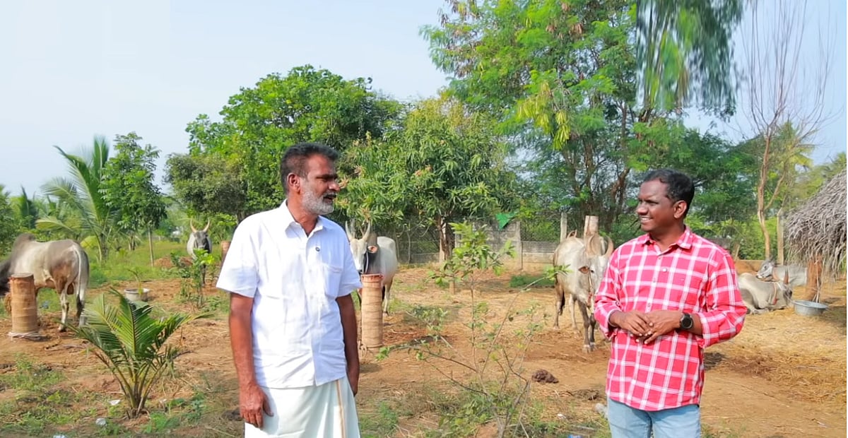 11 லட்சம் கொடுத்து அந்த ஜல்லிக்கட்டு மாட்ட வாங்கினேன்... - கைக்குறிச்சி தமிழ்ச்செல்வன் பேட்டி