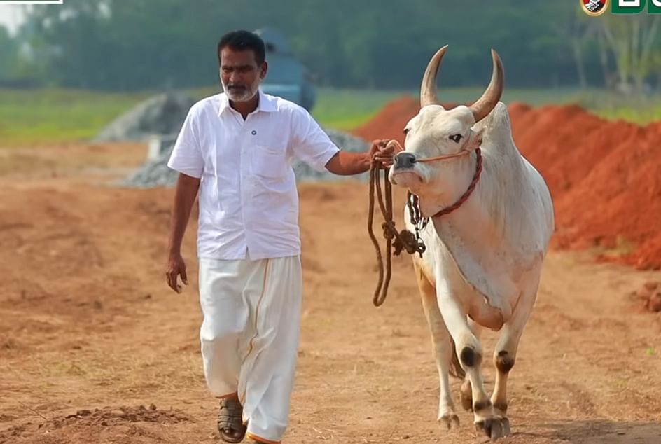 கைக்குறிச்சி தமிழ்செல்வன்