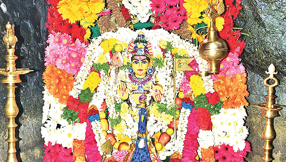 நோய்களை நீக்கி அருளும் தோரணமலையில் ஶ்ரீகார்த்திகேயா சுப்ரமணிய ஹோமம்; நீங்களும் சங்கல்பிக்கலாம்!