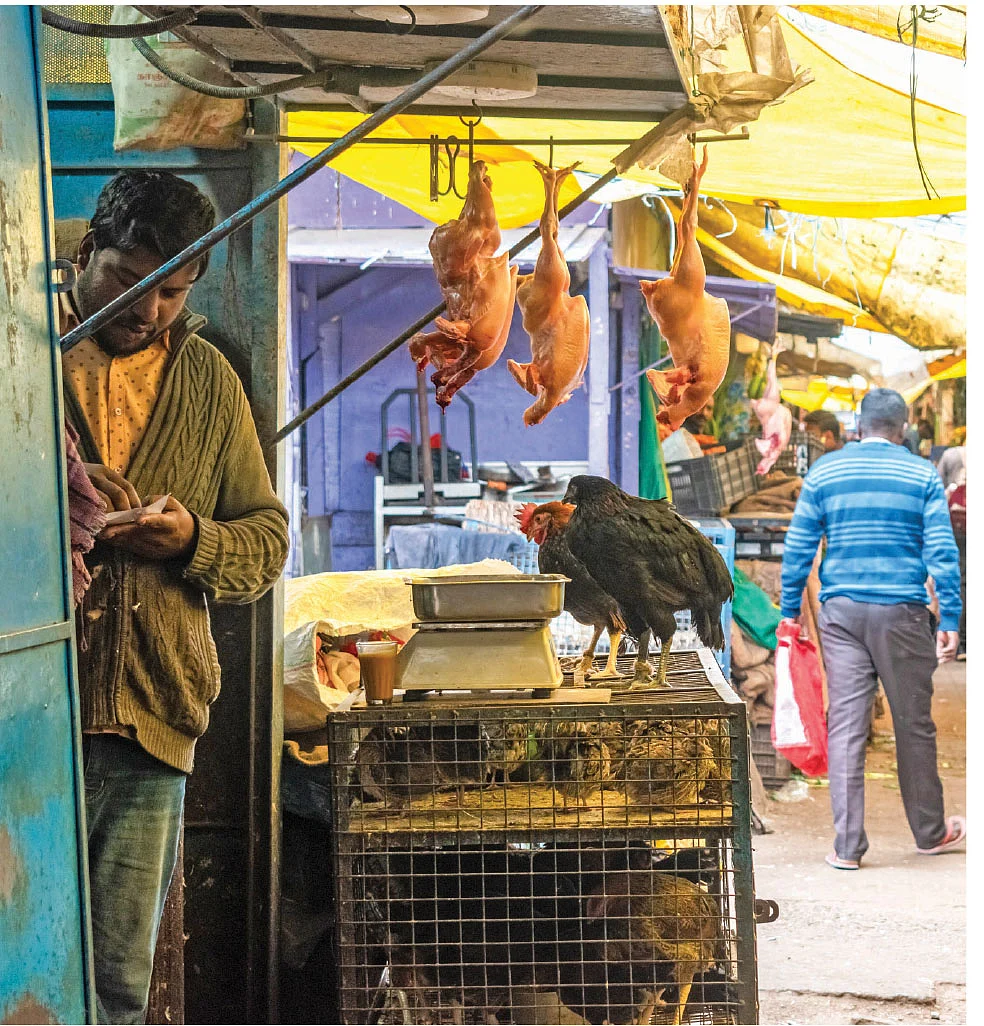 இறைச்சிக் கடை